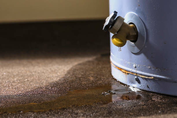Best Fire Damage Restoration  in Celoron, NY