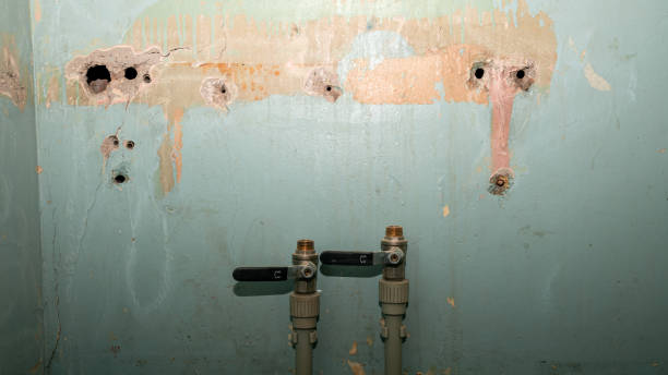 Best Ceiling water damage repair  in Celoron, NY