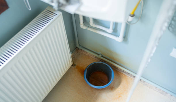 Best Water damage cleanup near me  in Celoron, NY