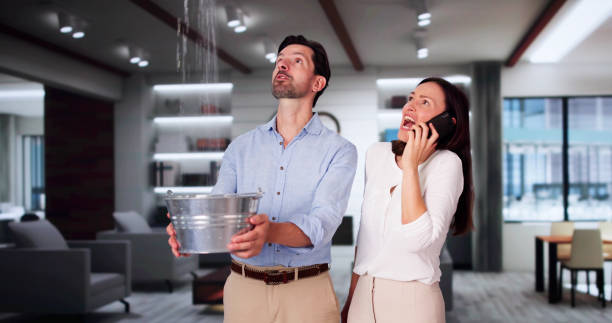 Best Sewage cleanup and water damage restoration  in Celoron, NY